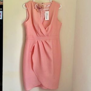 Meaneor Light Pink Dress Size L with Rose Pin NWT